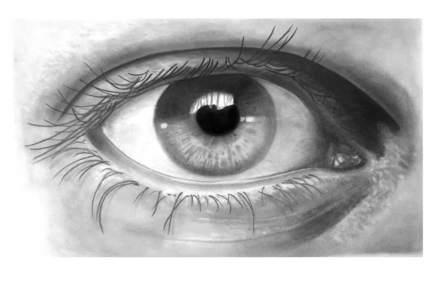 Faber-Castell - Goldfaber Potlood