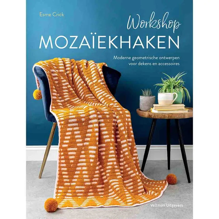 Boek Workshop Mozaïekhaken - Esme Crick