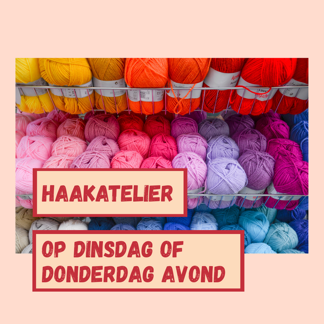 Haak- en brei atelier met Begeleiding