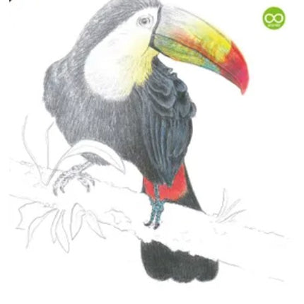 Kangaro - Bloc à dessin A3, 200 grammes, 20 feuilles